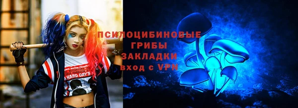 крисы Балахна