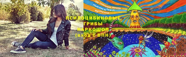 стафф Баксан