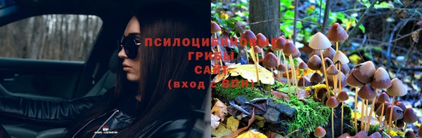 стафф Баксан