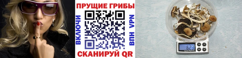 Псилоцибиновые грибы мухоморы  Безенчук 